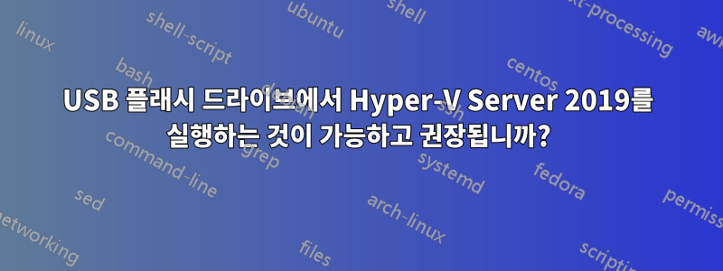 USB 플래시 드라이브에서 Hyper-V Server 2019를 실행하는 것이 가능하고 권장됩니까?