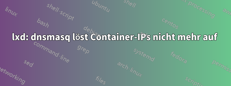 lxd: dnsmasq löst Container-IPs nicht mehr auf