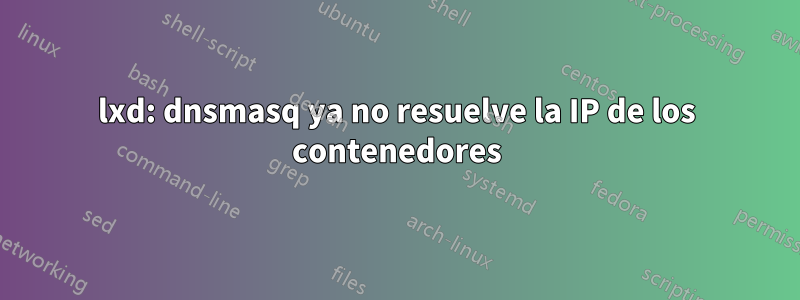 lxd: dnsmasq ya no resuelve la IP de los contenedores