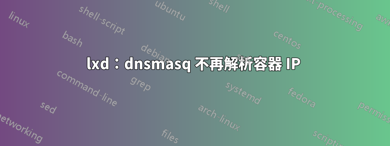 lxd：dnsmasq 不再解析容器 IP