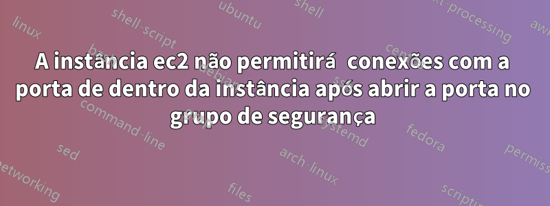 A instância ec2 não permitirá conexões com a porta de dentro da instância após abrir a porta no grupo de segurança