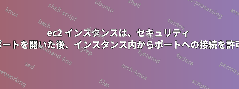 ec2 インスタンスは、セキュリティ グループでポートを開いた後、インスタンス内からポートへの接続を許可しません。