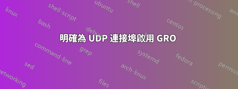 明確為 UDP 連接埠啟用 GRO