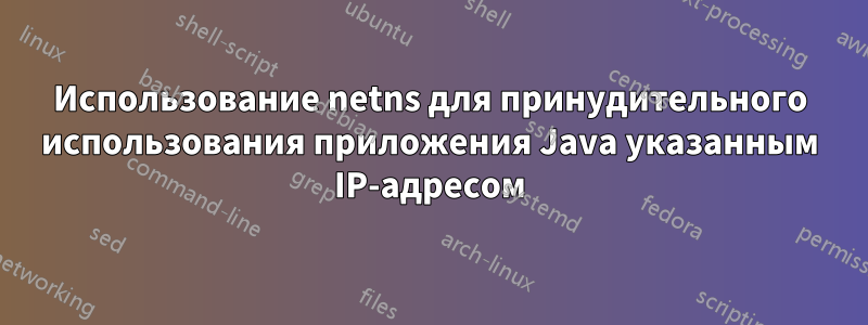 Использование netns для принудительного использования приложения Java указанным IP-адресом