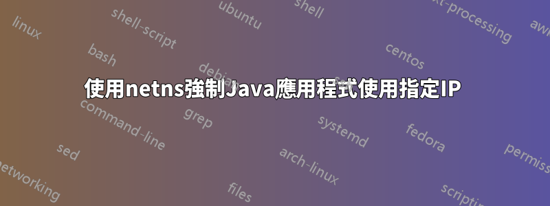 使用netns強制Java應用程式使用指定IP