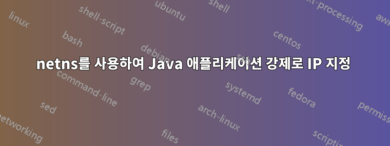 netns를 사용하여 Java 애플리케이션 강제로 IP 지정