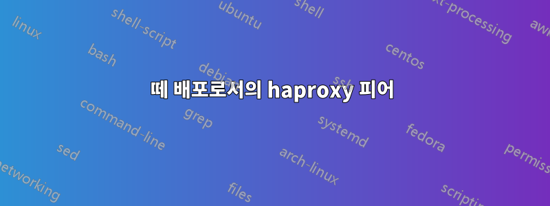 떼 배포로서의 haproxy 피어