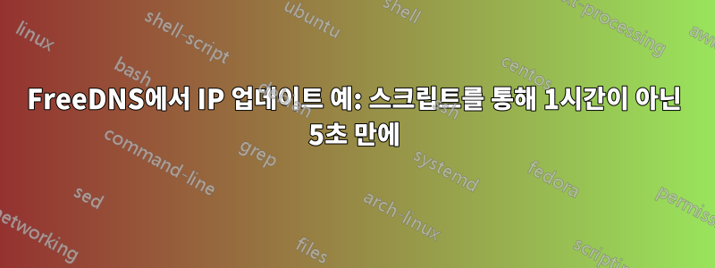 FreeDNS에서 IP 업데이트 예: 스크립트를 통해 1시간이 아닌 5초 만에