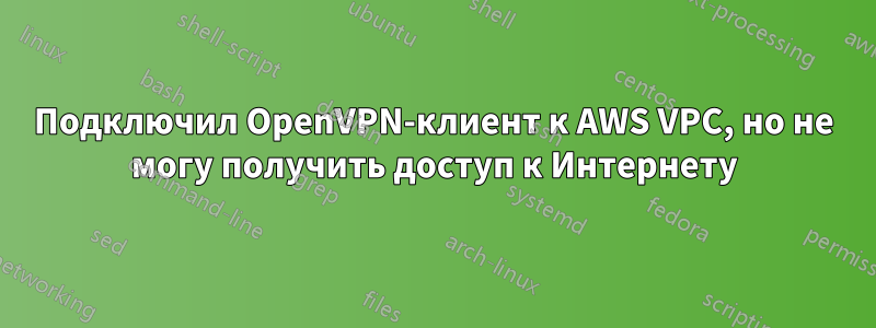 Подключил OpenVPN-клиент к AWS VPC, но не могу получить доступ к Интернету