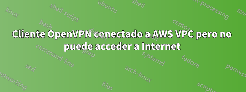 Cliente OpenVPN conectado a AWS VPC pero no puede acceder a Internet