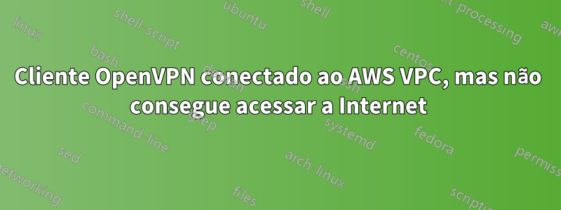 Cliente OpenVPN conectado ao AWS VPC, mas não consegue acessar a Internet