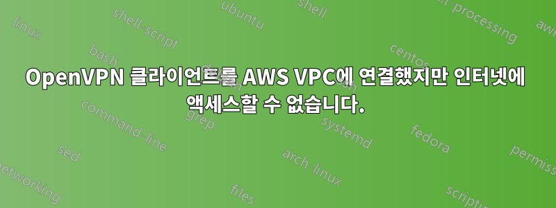OpenVPN 클라이언트를 AWS VPC에 연결했지만 인터넷에 액세스할 수 없습니다.