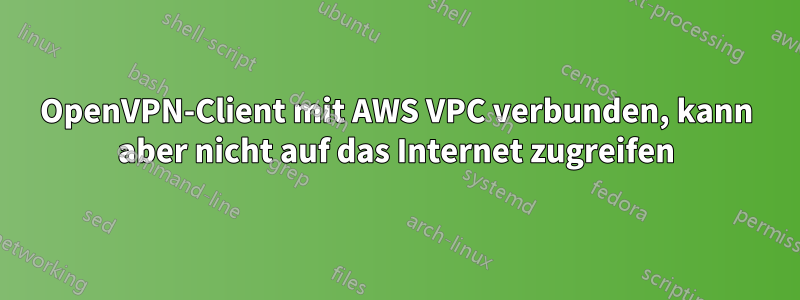 OpenVPN-Client mit AWS VPC verbunden, kann aber nicht auf das Internet zugreifen