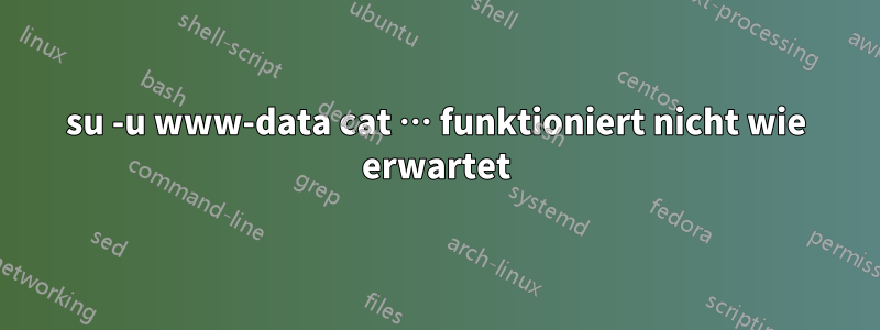 su -u www-data cat … funktioniert nicht wie erwartet