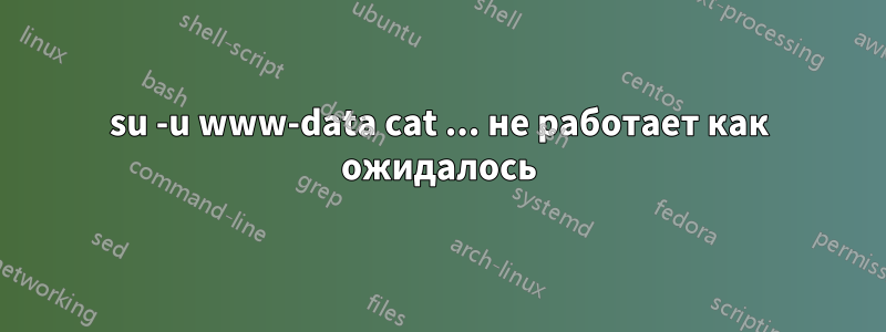 su -u www-data cat ... не работает как ожидалось