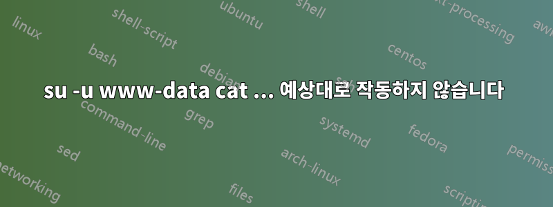 su -u www-data cat ... 예상대로 작동하지 않습니다