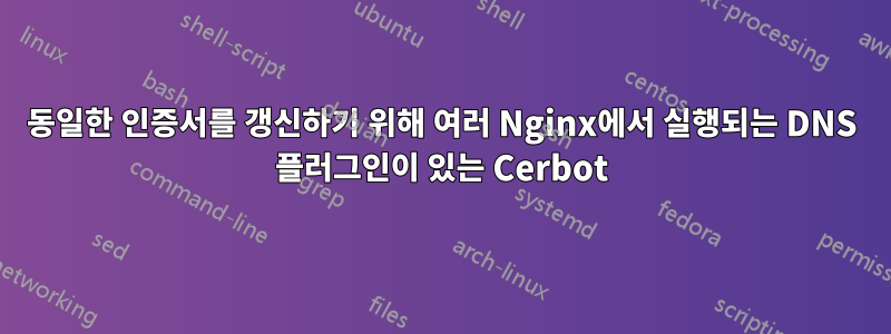 동일한 인증서를 갱신하기 위해 여러 Nginx에서 실행되는 DNS 플러그인이 있는 Cerbot