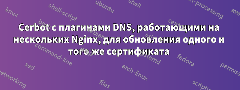 Cerbot с плагинами DNS, работающими на нескольких Nginx, для обновления одного и того же сертификата