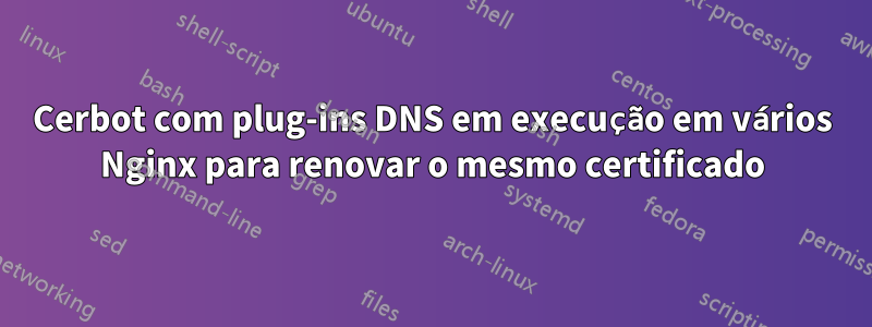 Cerbot com plug-ins DNS em execução em vários Nginx para renovar o mesmo certificado