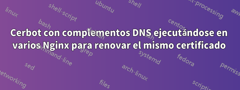 Cerbot con complementos DNS ejecutándose en varios Nginx para renovar el mismo certificado