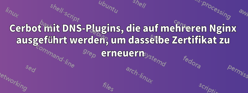 Cerbot mit DNS-Plugins, die auf mehreren Nginx ausgeführt werden, um dasselbe Zertifikat zu erneuern