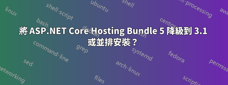 將 ASP.NET Core Hosting Bundle 5 降級到 3.1 或並排安裝？