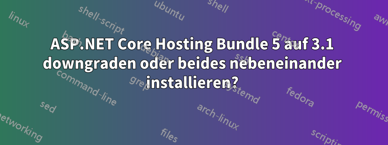 ASP.NET Core Hosting Bundle 5 auf 3.1 downgraden oder beides nebeneinander installieren?