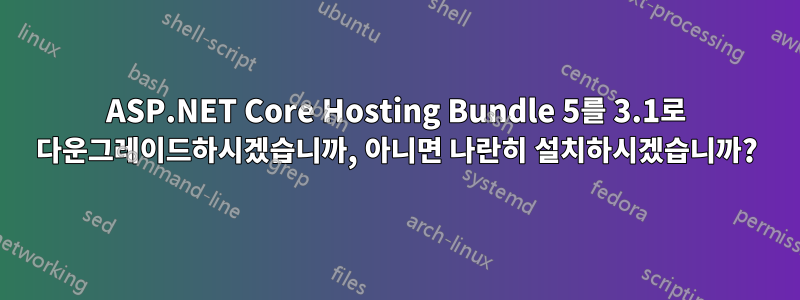 ASP.NET Core Hosting Bundle 5를 3.1로 다운그레이드하시겠습니까, 아니면 나란히 설치하시겠습니까?