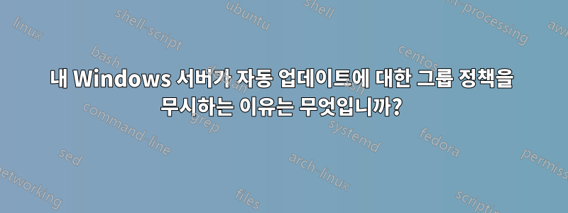 내 Windows 서버가 자동 업데이트에 대한 그룹 정책을 무시하는 이유는 무엇입니까?