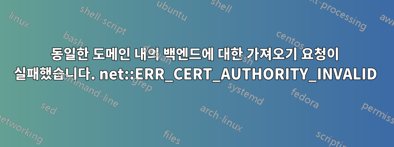 동일한 도메인 내의 백엔드에 대한 가져오기 요청이 실패했습니다. net::ERR_CERT_AUTHORITY_INVALID