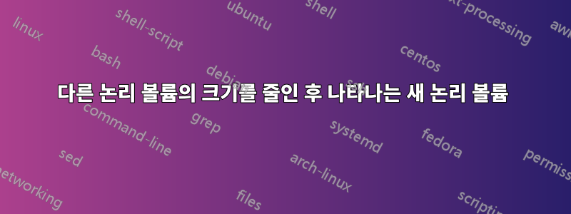 다른 논리 볼륨의 크기를 줄인 후 나타나는 새 논리 볼륨