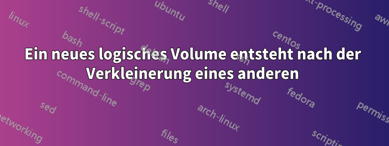 Ein neues logisches Volume entsteht nach der Verkleinerung eines anderen
