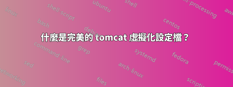什麼是完美的 tomcat 虛擬化設定檔？