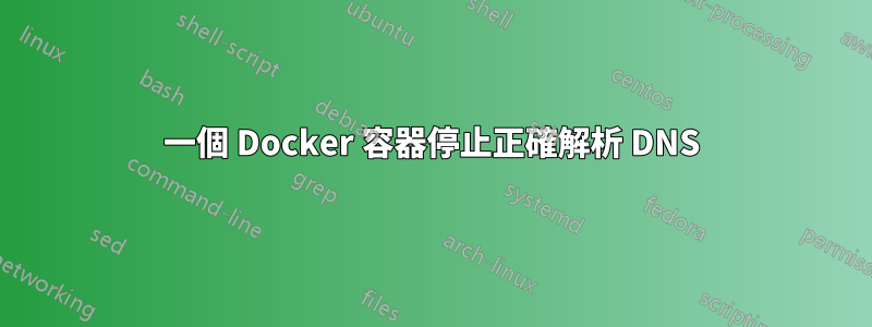 一個 Docker 容器停止正確解析 DNS