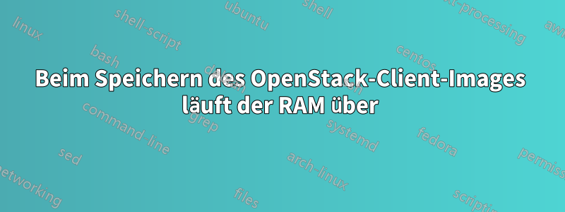 Beim Speichern des OpenStack-Client-Images läuft der RAM über