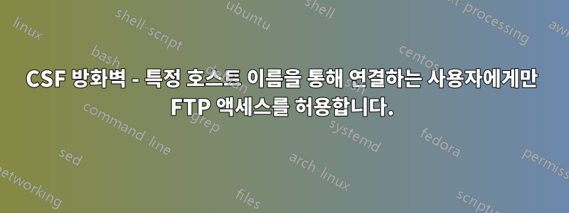 CSF 방화벽 - 특정 호스트 이름을 통해 연결하는 사용자에게만 FTP 액세스를 허용합니다.