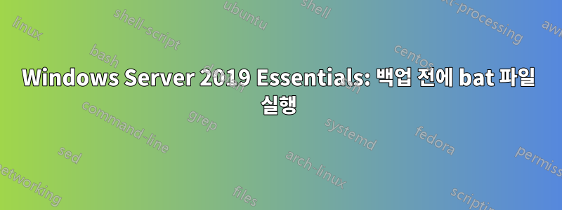 Windows Server 2019 Essentials: 백업 전에 bat 파일 실행