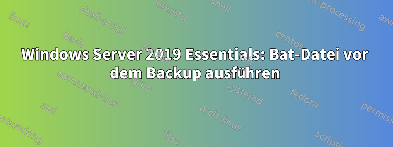 Windows Server 2019 Essentials: Bat-Datei vor dem Backup ausführen