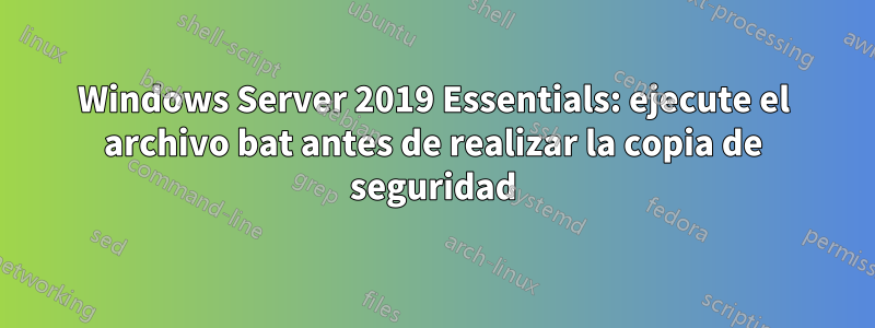 Windows Server 2019 Essentials: ejecute el archivo bat antes de realizar la copia de seguridad