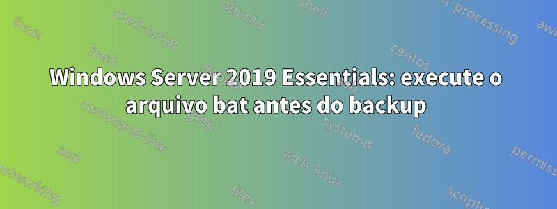 Windows Server 2019 Essentials: execute o arquivo bat antes do backup