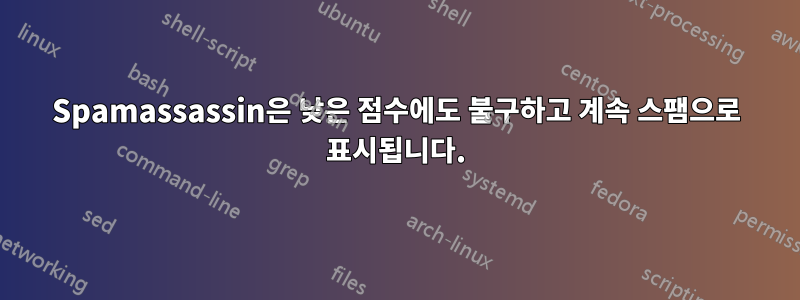Spamassassin은 낮은 점수에도 불구하고 계속 스팸으로 표시됩니다.