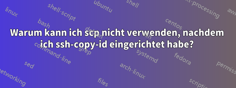 Warum kann ich scp nicht verwenden, nachdem ich ssh-copy-id eingerichtet habe?