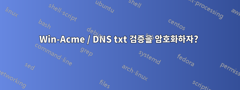 Win-Acme / DNS txt 검증을 암호화하자?