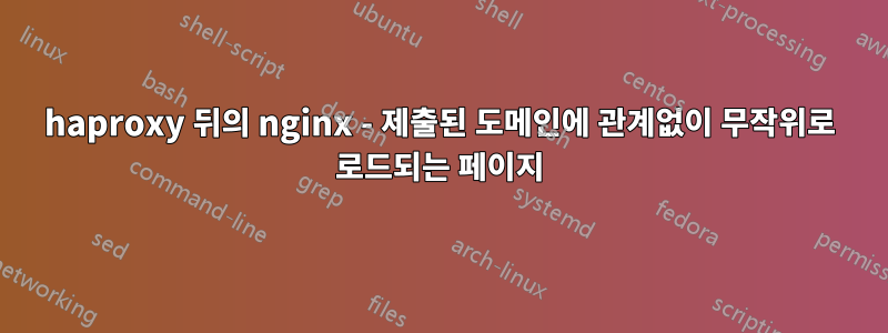 haproxy 뒤의 nginx - 제출된 도메인에 관계없이 무작위로 로드되는 페이지