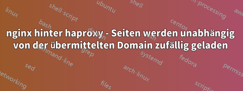 nginx hinter haproxy - Seiten werden unabhängig von der übermittelten Domain zufällig geladen