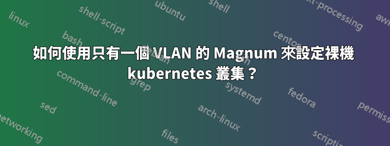如何使用只有一個 VLAN 的 Magnum 來設定裸機 kubernetes 叢集？
