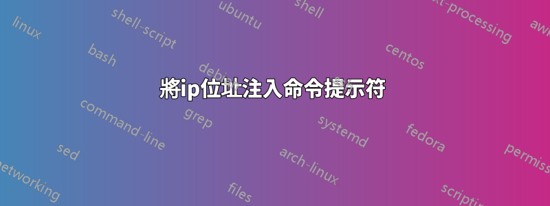 將ip位址注入命令提示符