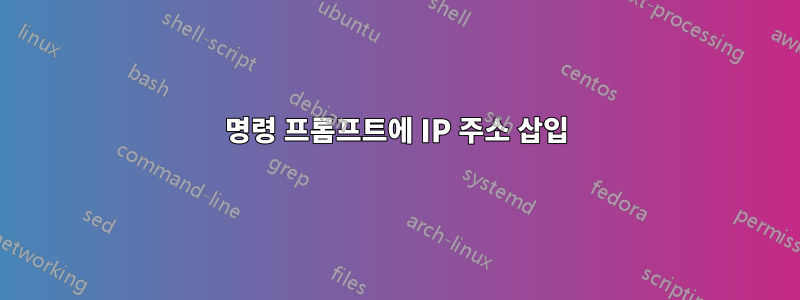 명령 프롬프트에 IP 주소 삽입