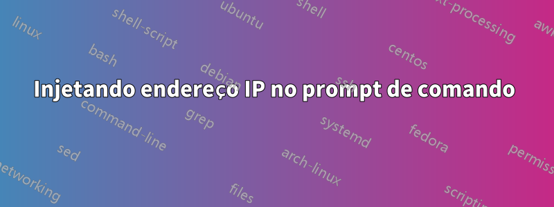 Injetando endereço IP no prompt de comando