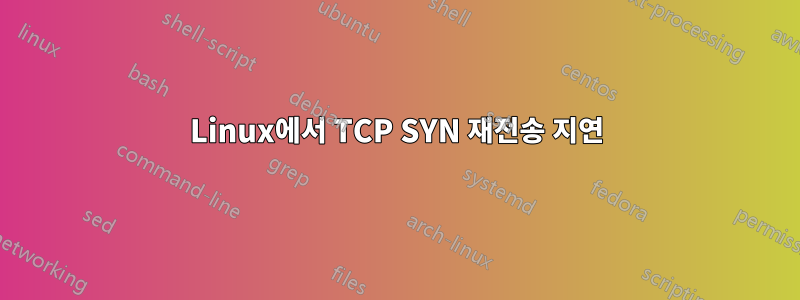 Linux에서 TCP SYN 재전송 지연
